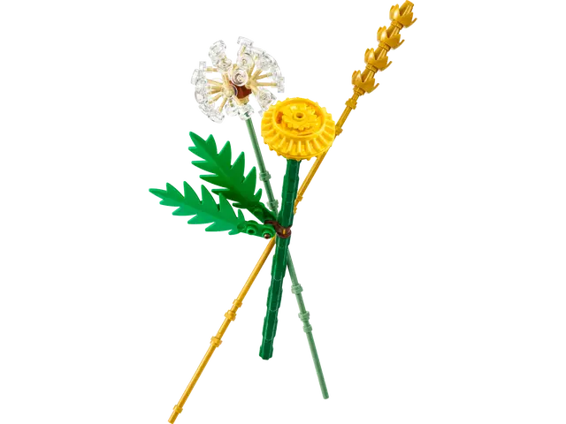 New LEGO Releases February 2024